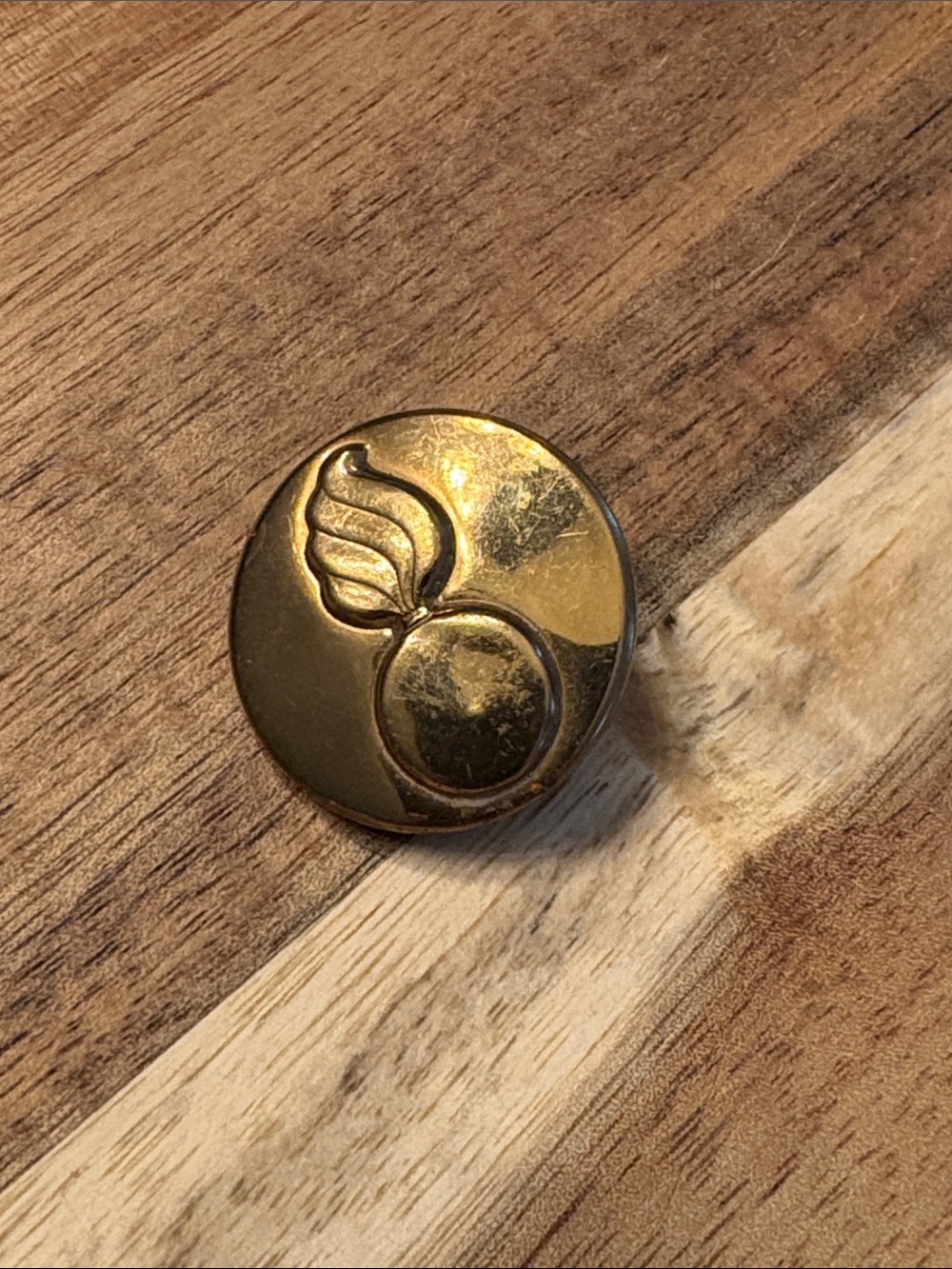 Late WW2 US Army Pin